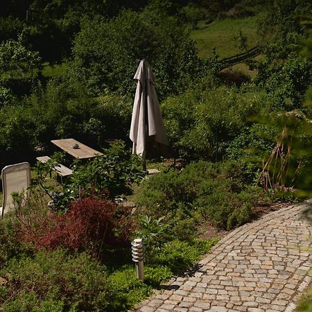 Haus Am Berzdorfer See - 3 Schlafzimmer - Ganzes Haus Zur Alleinnutzung - Terrasse - Hochwertige Ausstattung Görlitz Esterno foto