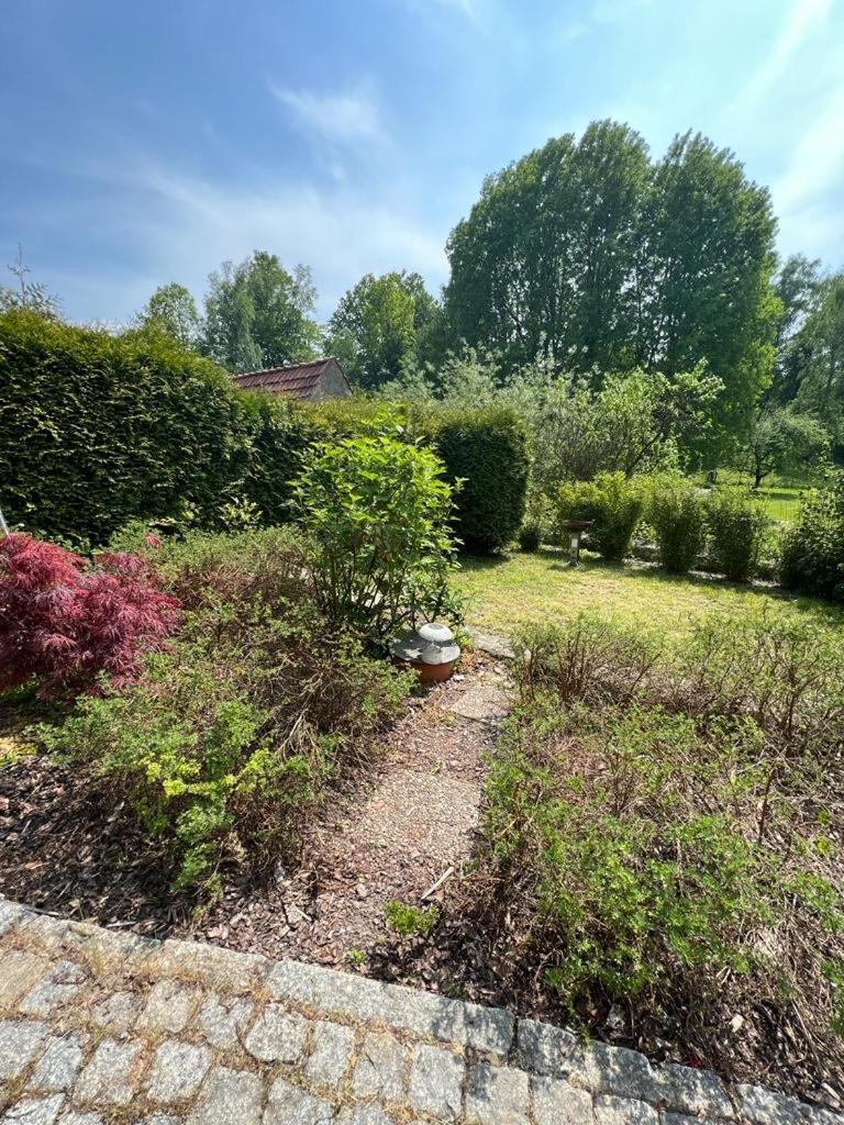 Haus Am Berzdorfer See - 3 Schlafzimmer - Ganzes Haus Zur Alleinnutzung - Terrasse - Hochwertige Ausstattung Görlitz Esterno foto