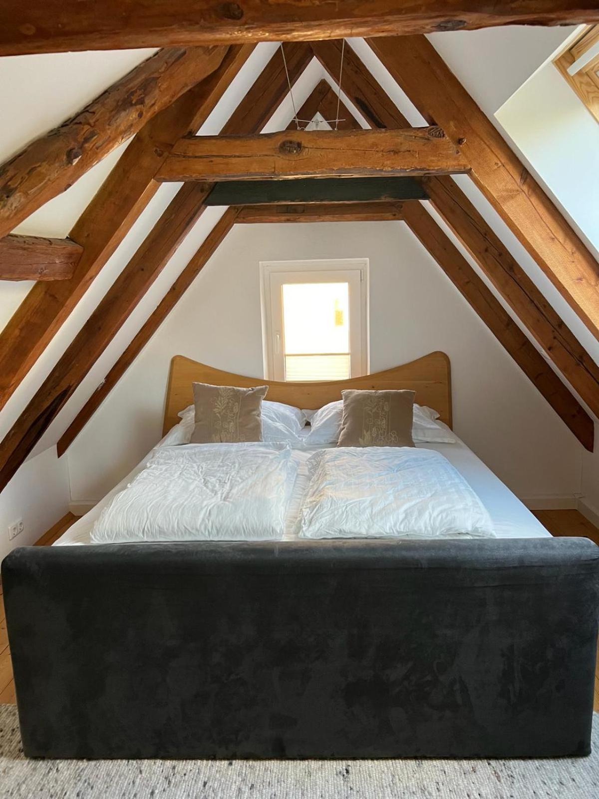 Haus Am Berzdorfer See - 3 Schlafzimmer - Ganzes Haus Zur Alleinnutzung - Terrasse - Hochwertige Ausstattung Görlitz Esterno foto